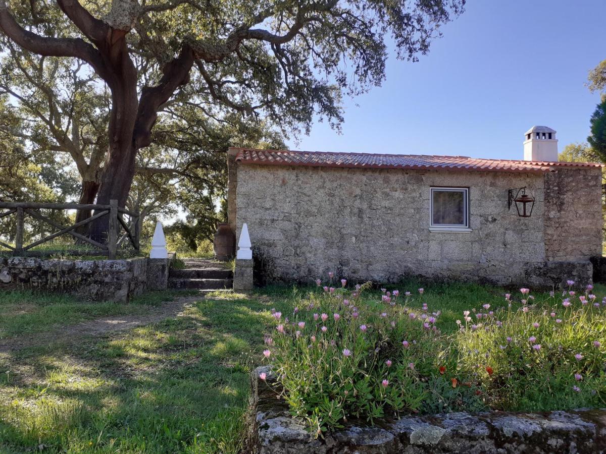 카스텔로노보 Casa Da Vinha 빌라 외부 사진
